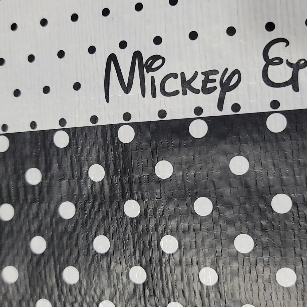 Mickey&Minnie Crossbody Tote - Picture 9 of 11